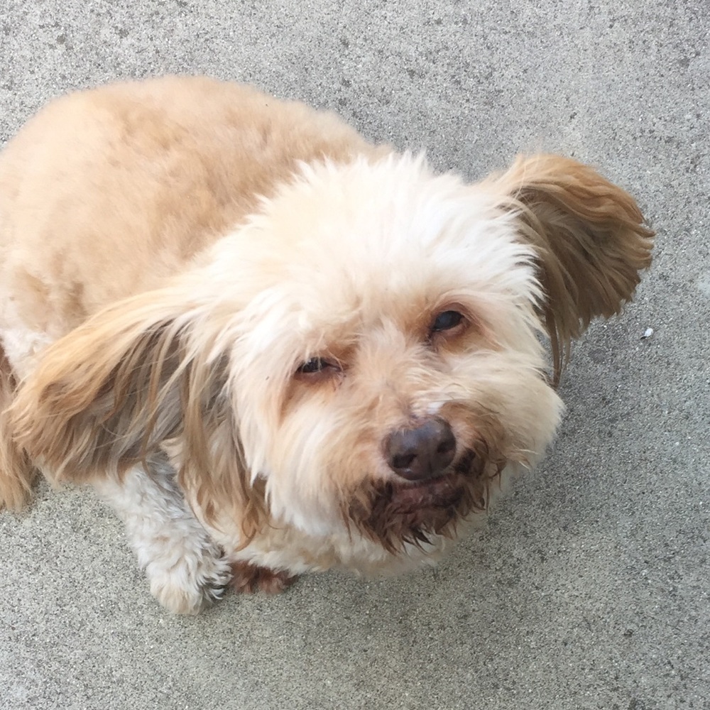 Meet your Posher, Helen